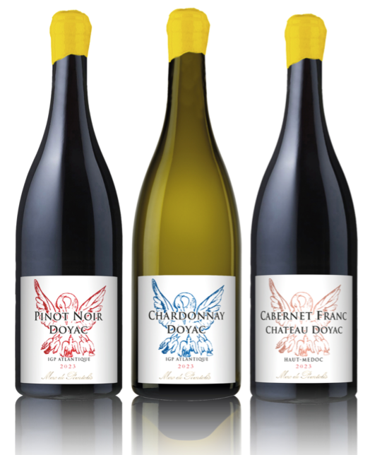 CHARDONNAY 2023 de Doyac